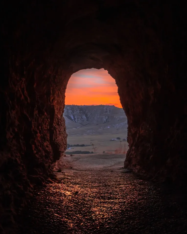 kiwi thompson on Unsplash