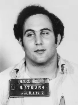 Image from Wikipedia