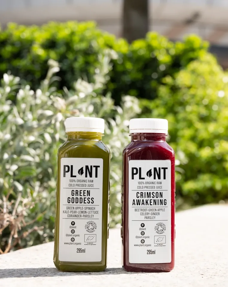 PLANT on Unsplash