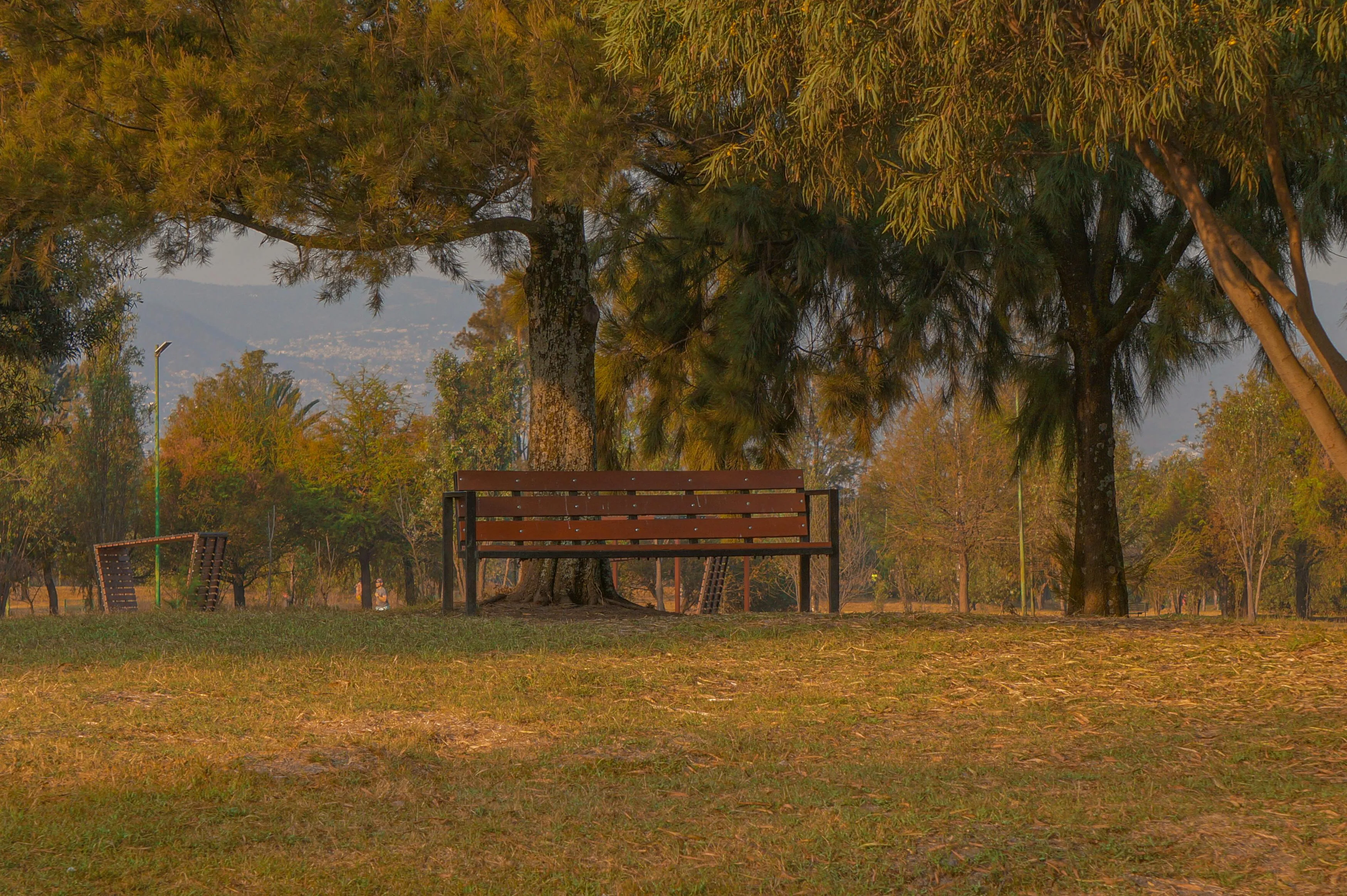 16 Things Every Park Had in the 1950s That Are Rare Today