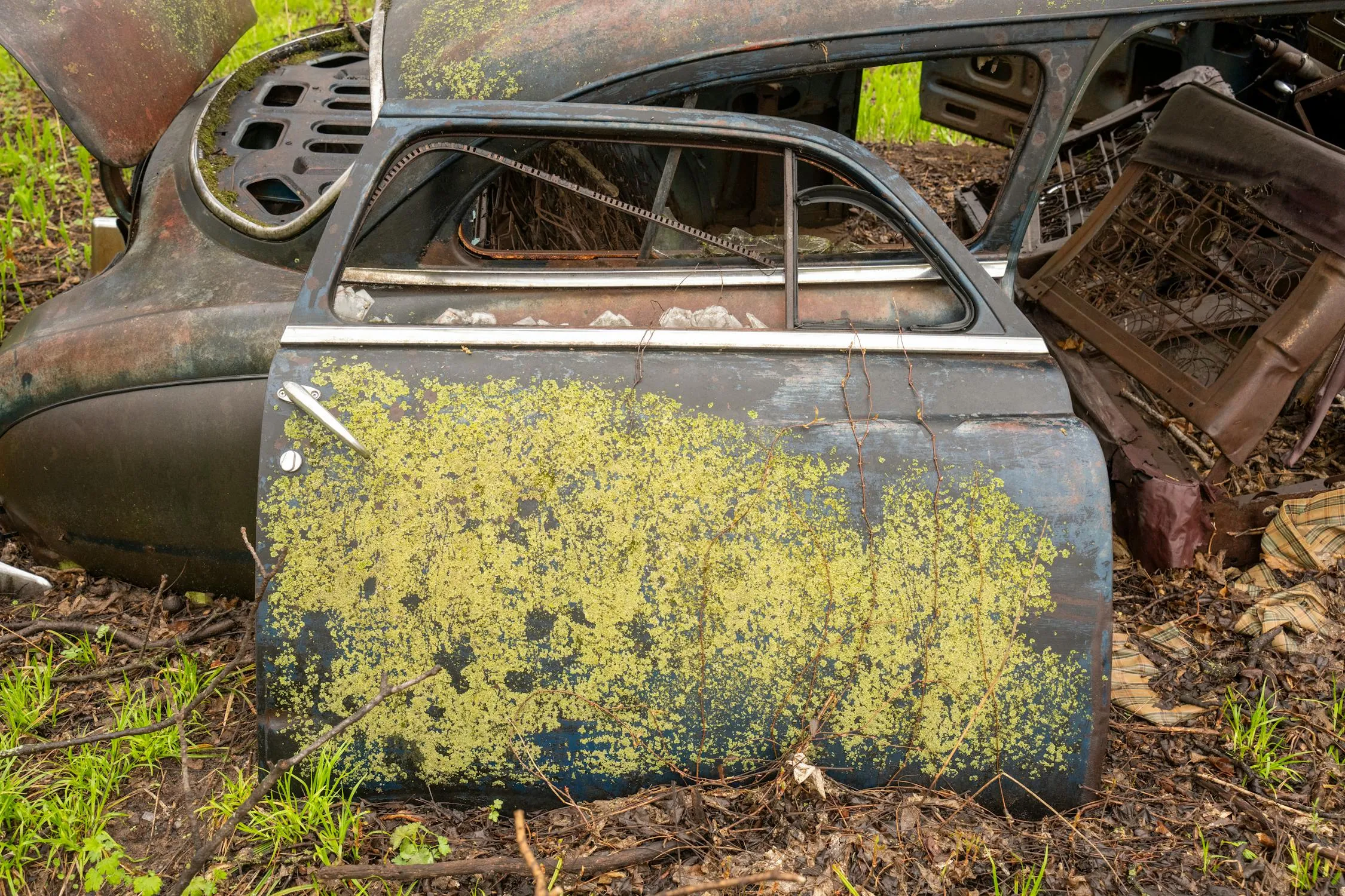 Tom Fisk on Pexels