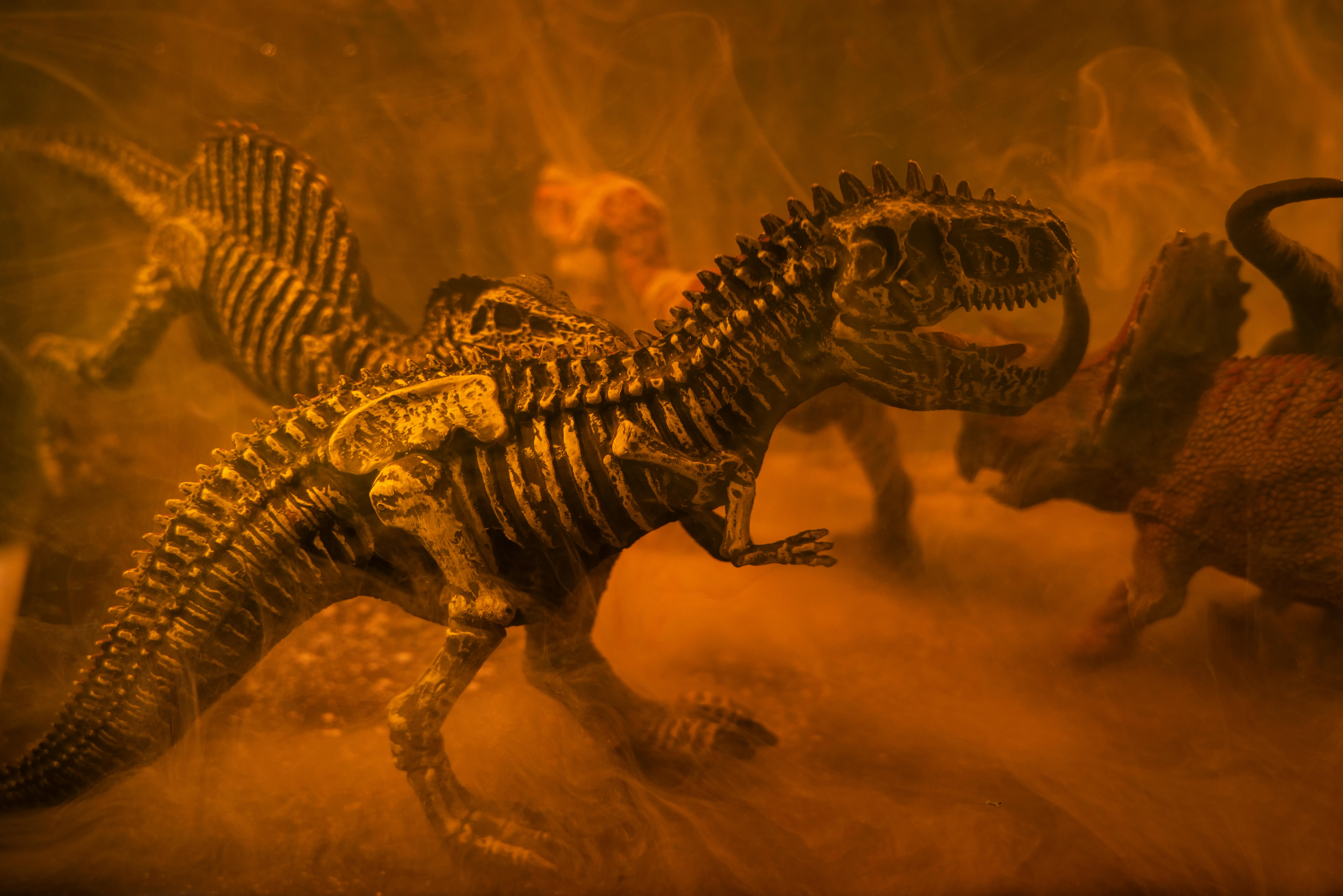 18 Discoveries That Challenge the Theory of Evolution