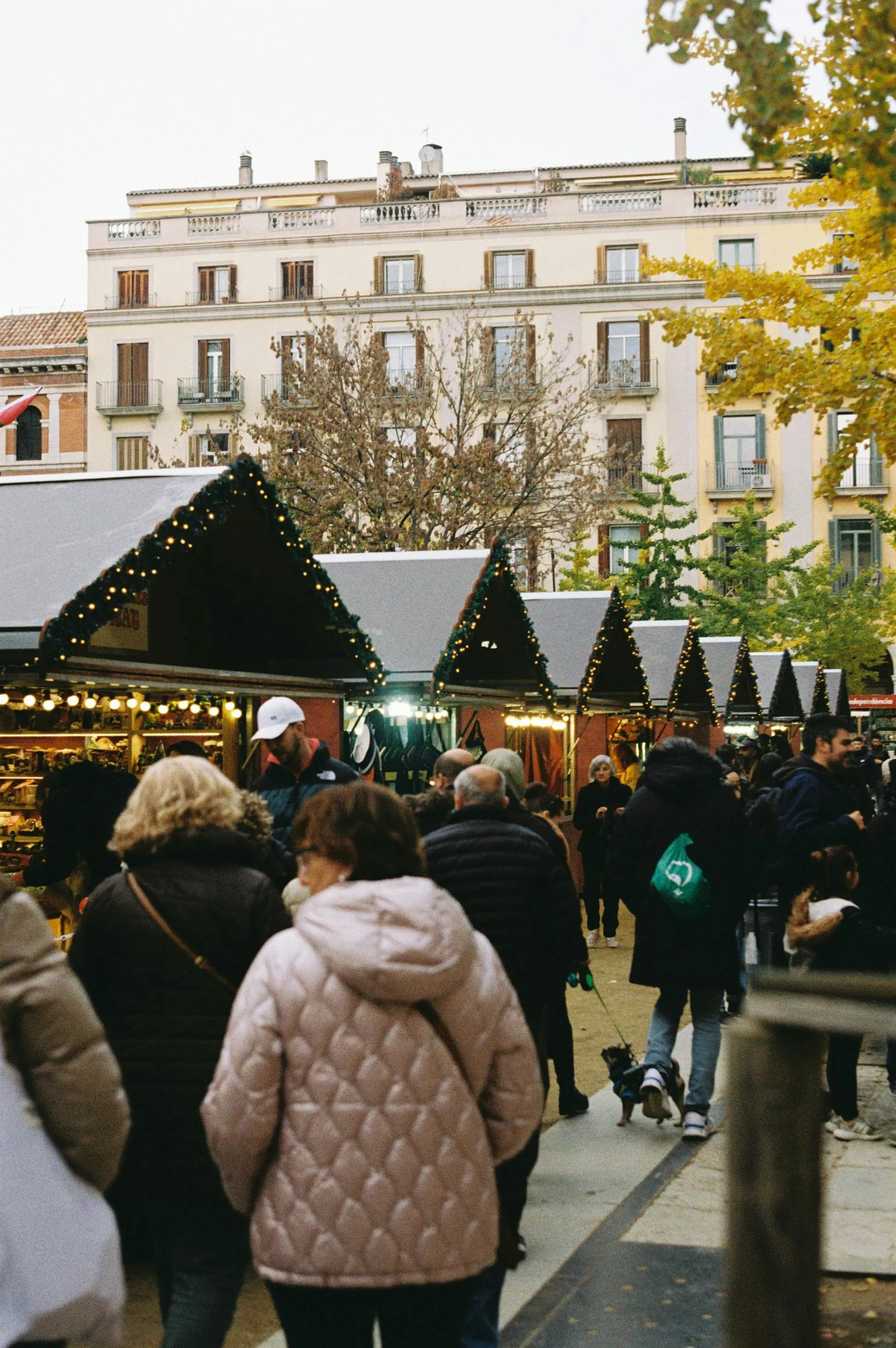 Adria Gimeno on pexels