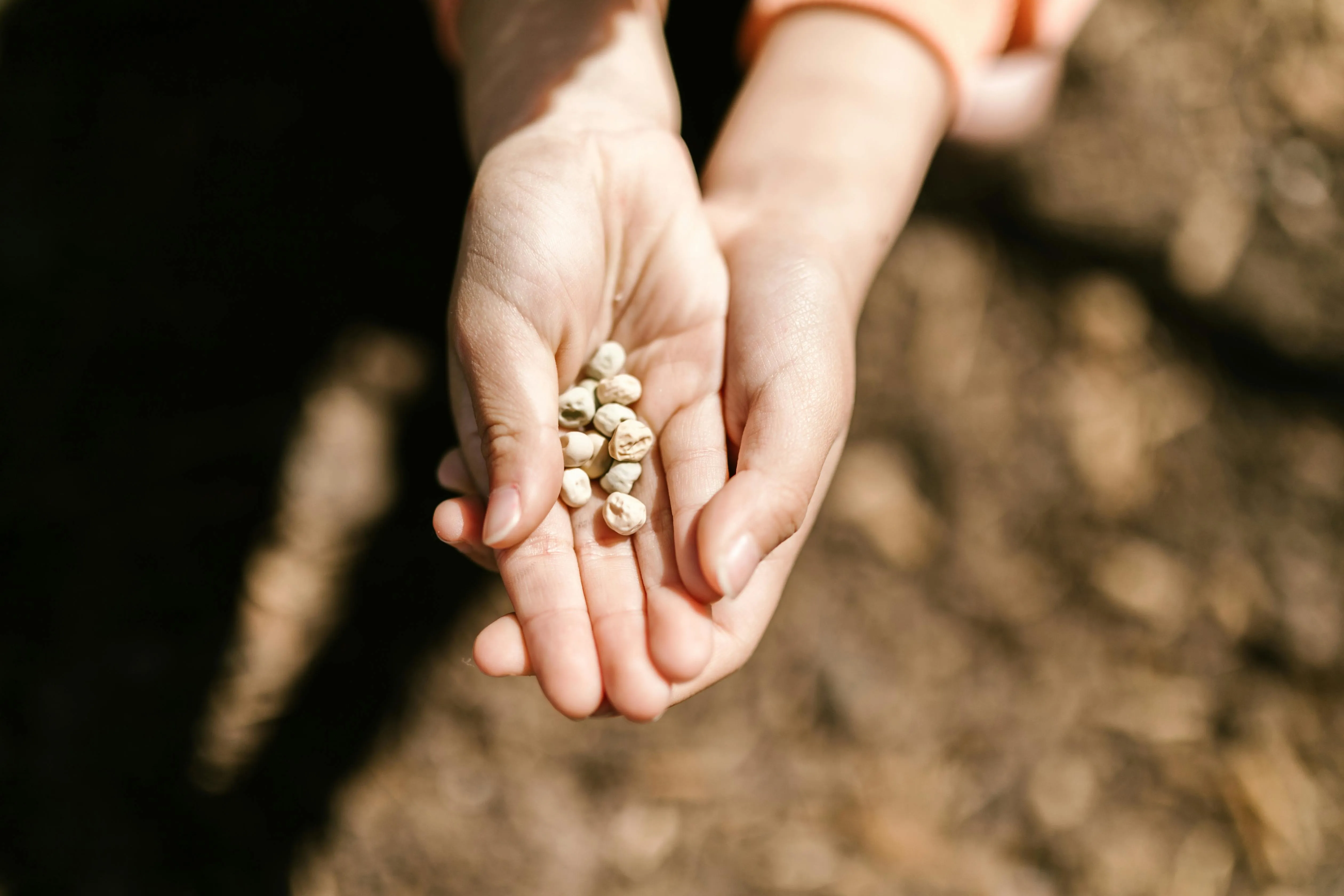 RDNE Stock project on Pexels