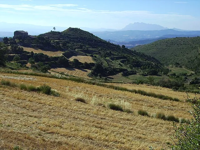 Victor M. Vicente Selvas on Wikimedia Commons
