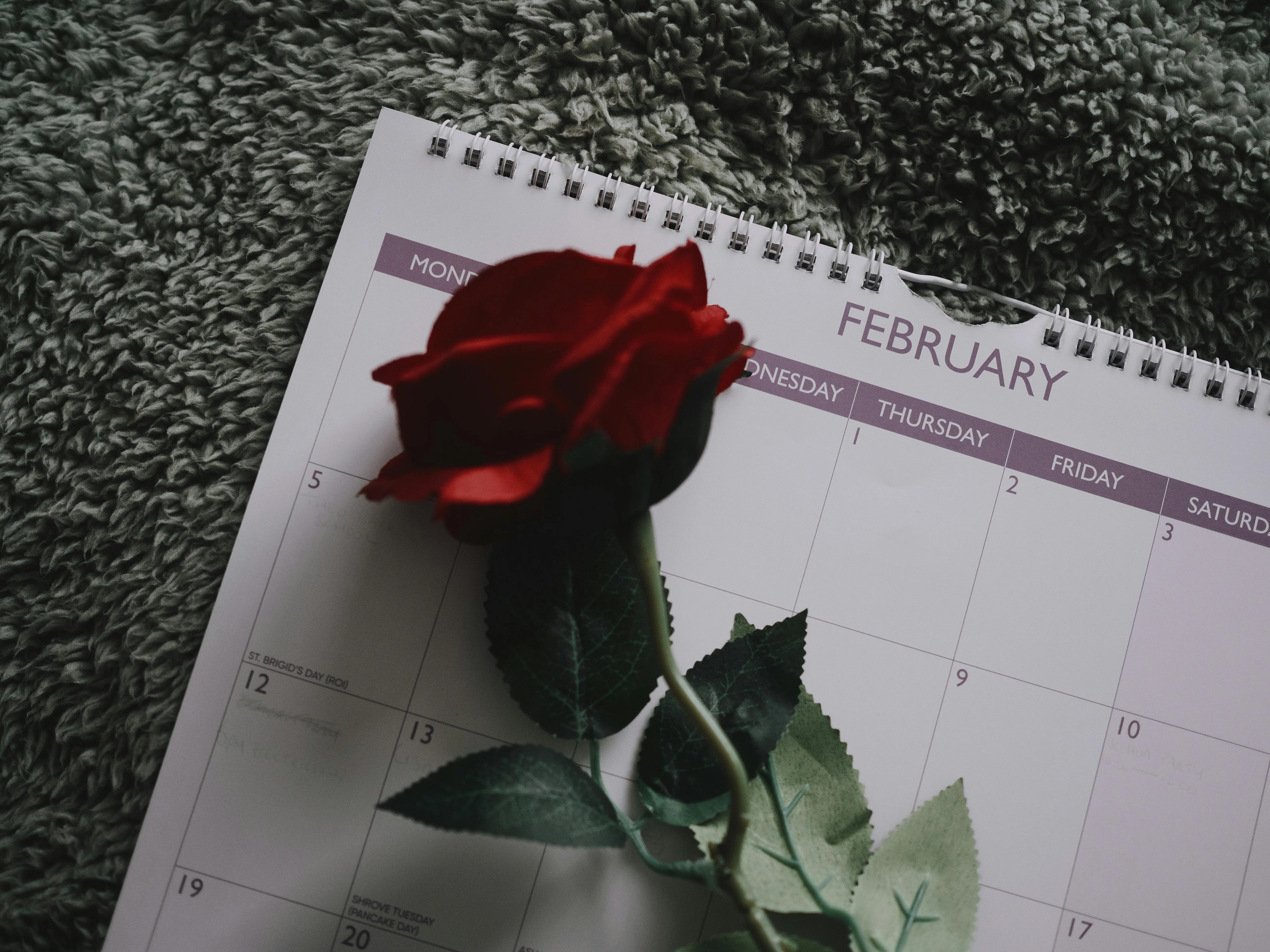 20 Routines People Carried Through February