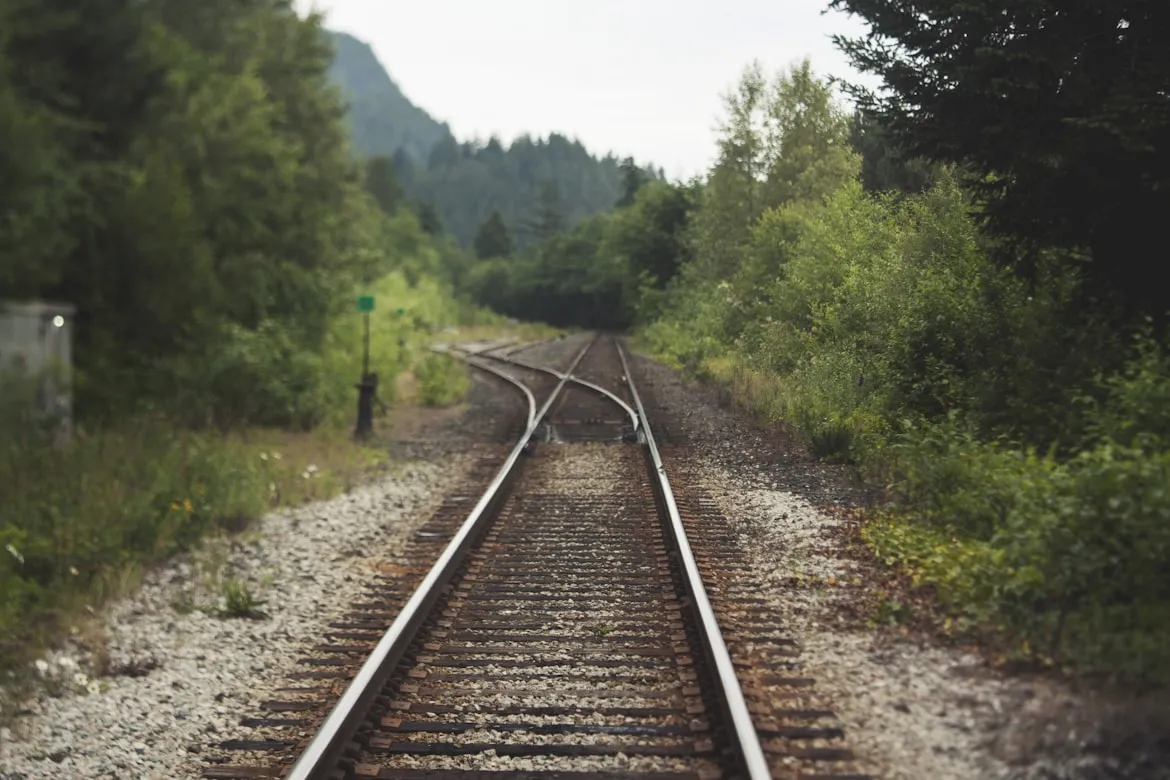 20 Abandoned Railways That Nature Took Over