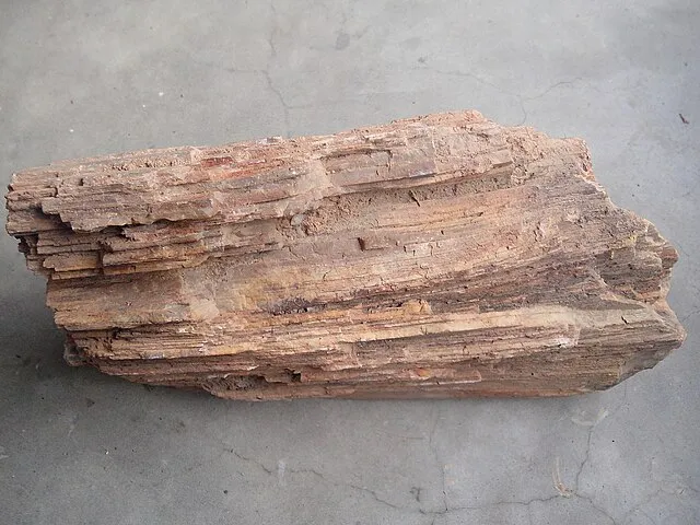 Thamizhpparithi Maari on Wikimedia Commons