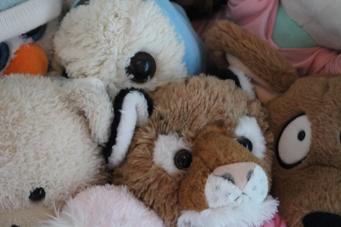 11 Plush Toys That Came With a “Secret Code”
