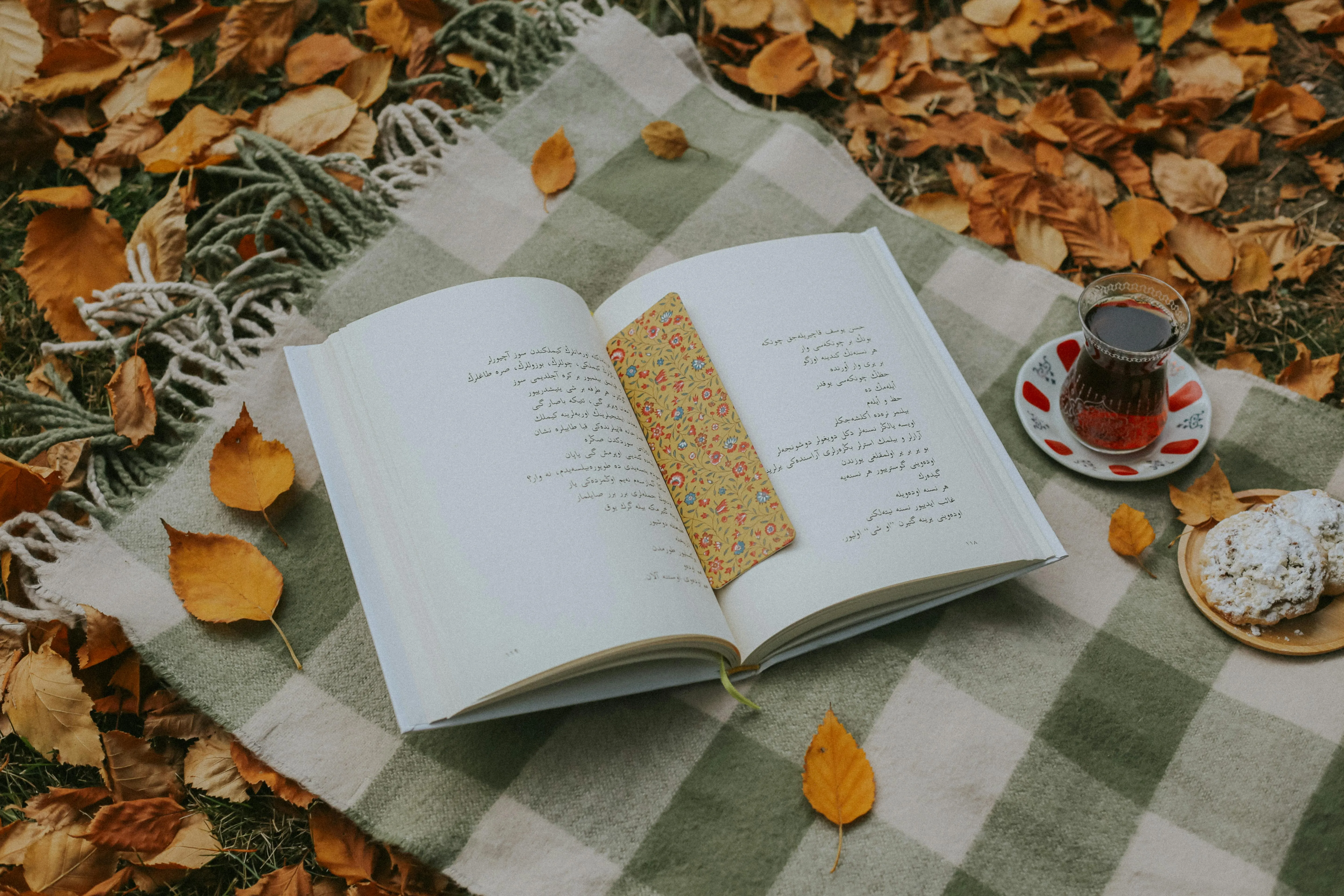 betül akyürek on Pexels