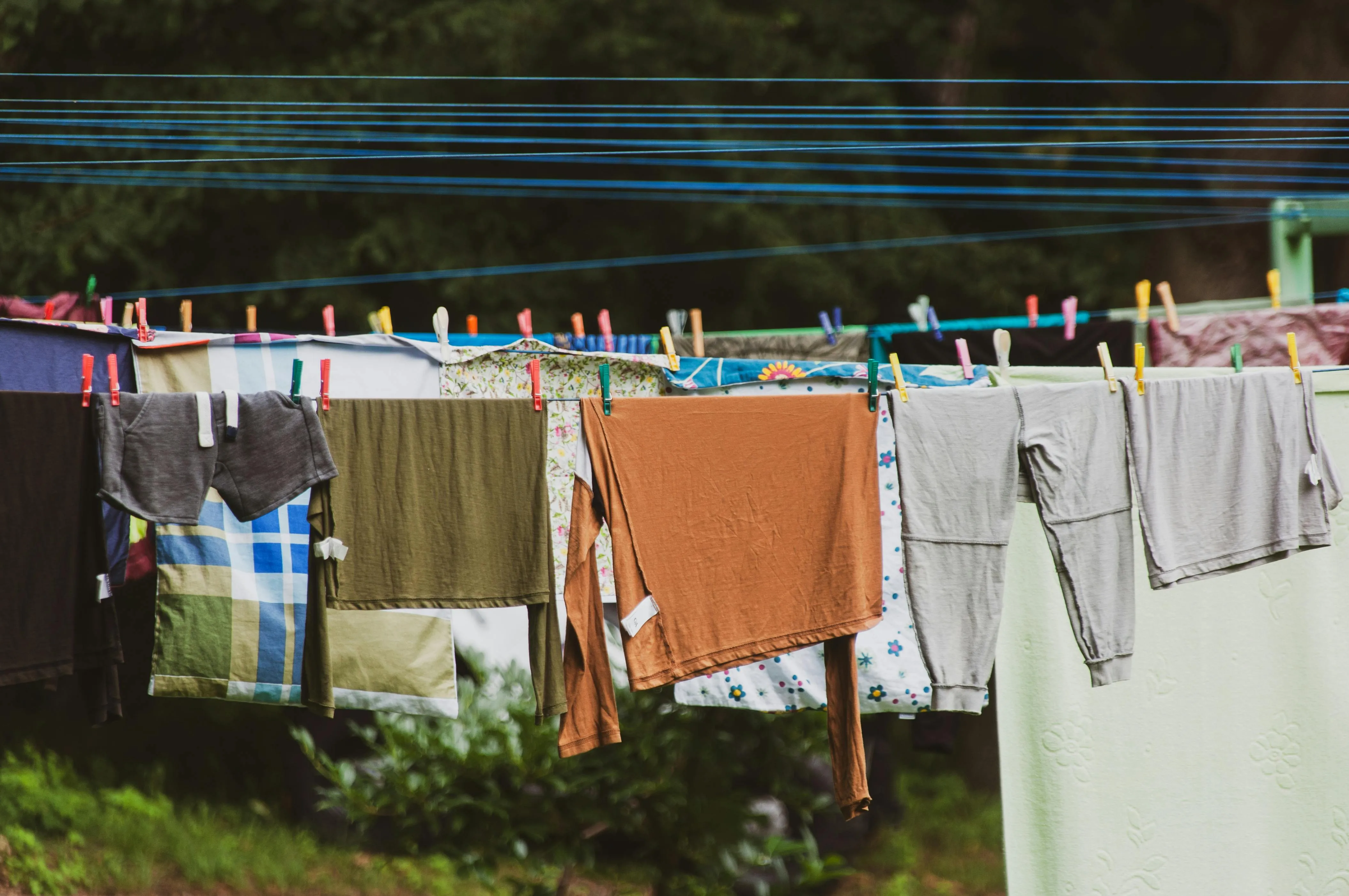 wal_ 172619 on Pexels