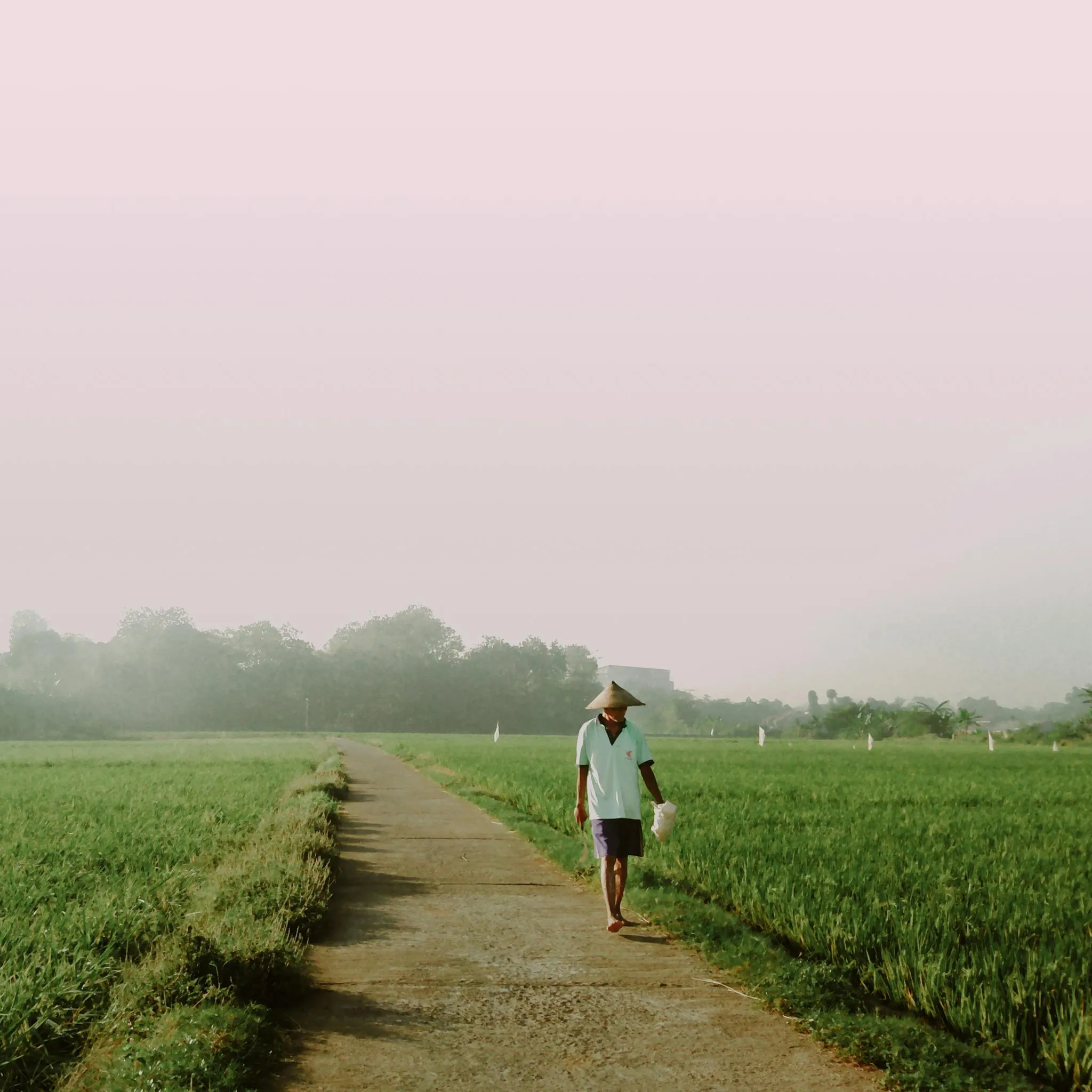 Ahmad Alfian on Pexels