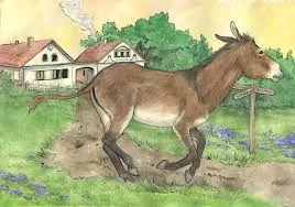 Image from Louisa Giffard - WordPress.com 