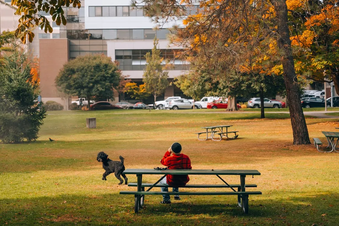 Josh Hild on Pexels