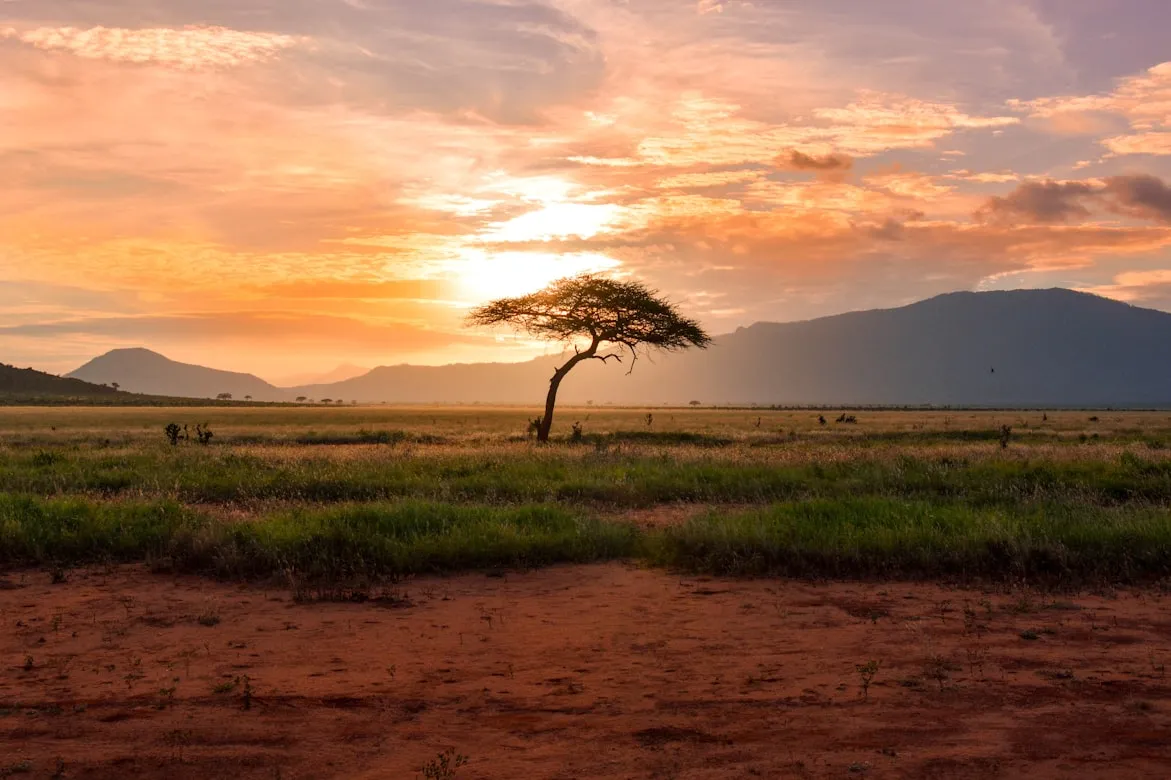 Damian Patkowski from Unsplash
