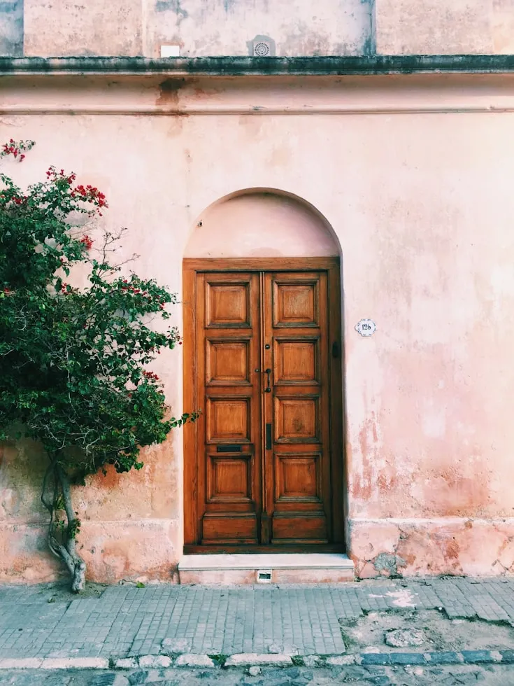 Beto Galetto from Unsplash