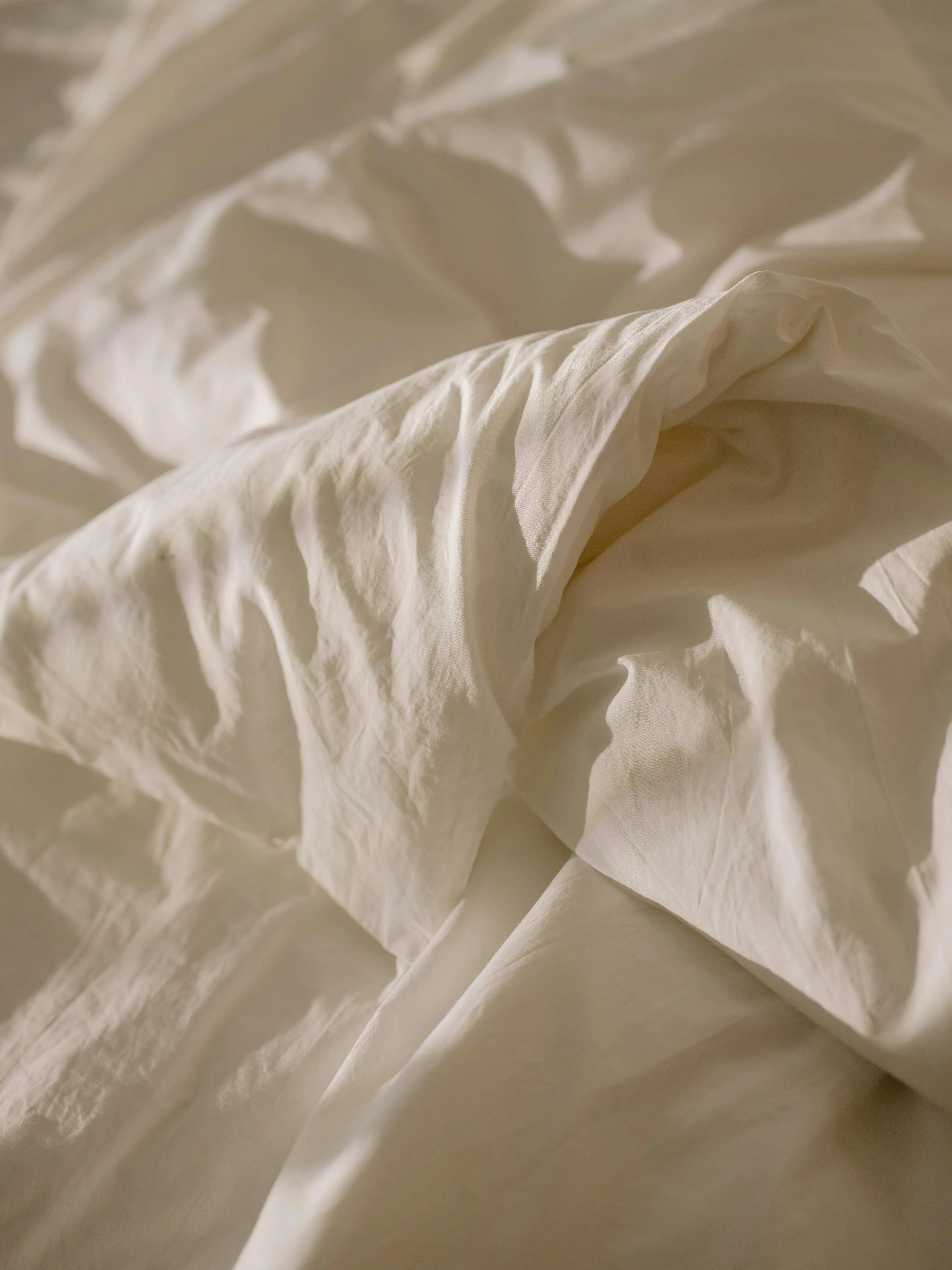 cottonbro studio on Pexels
