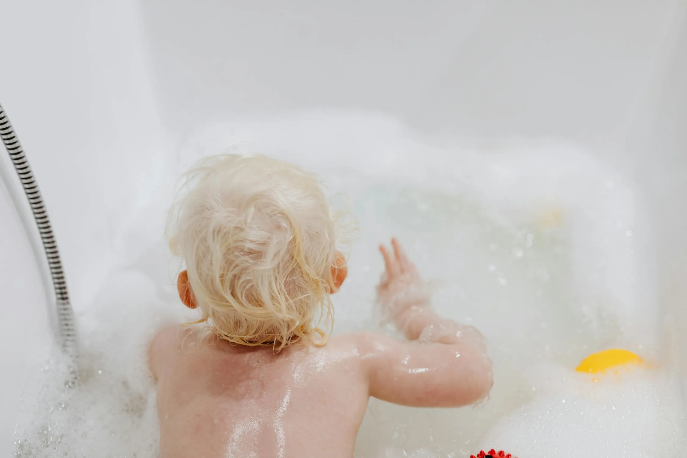 www.kaboompics.com on Pexels
