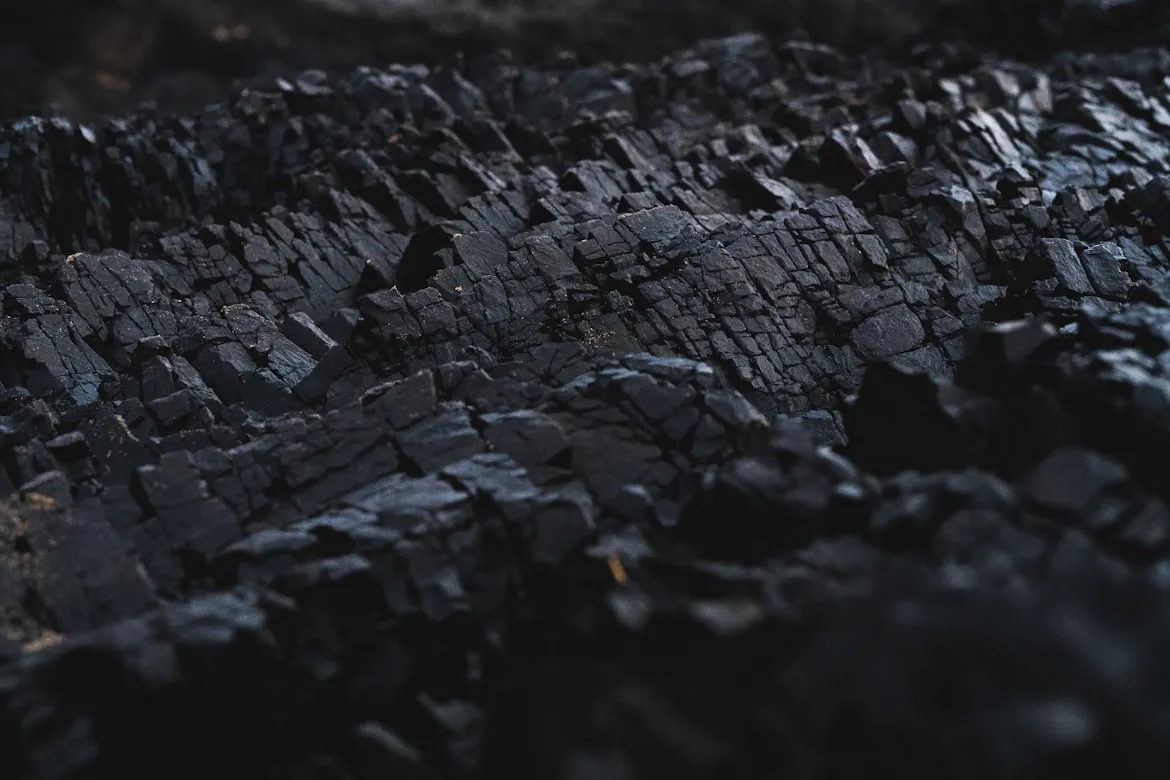 Dexter Fernandes from Unsplash
