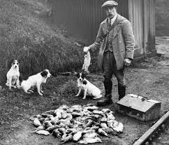 Image from Rural Historia 