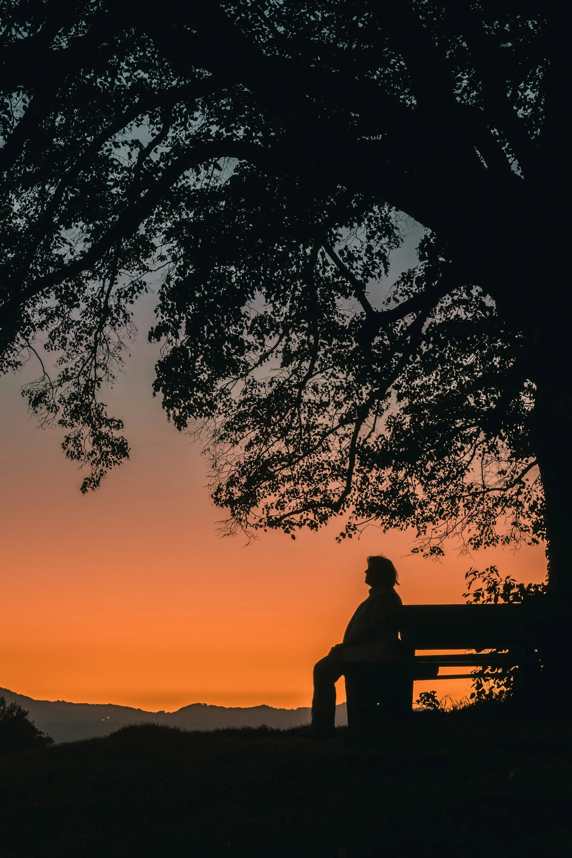  Free Walking Tour Salzburg from Unsplash