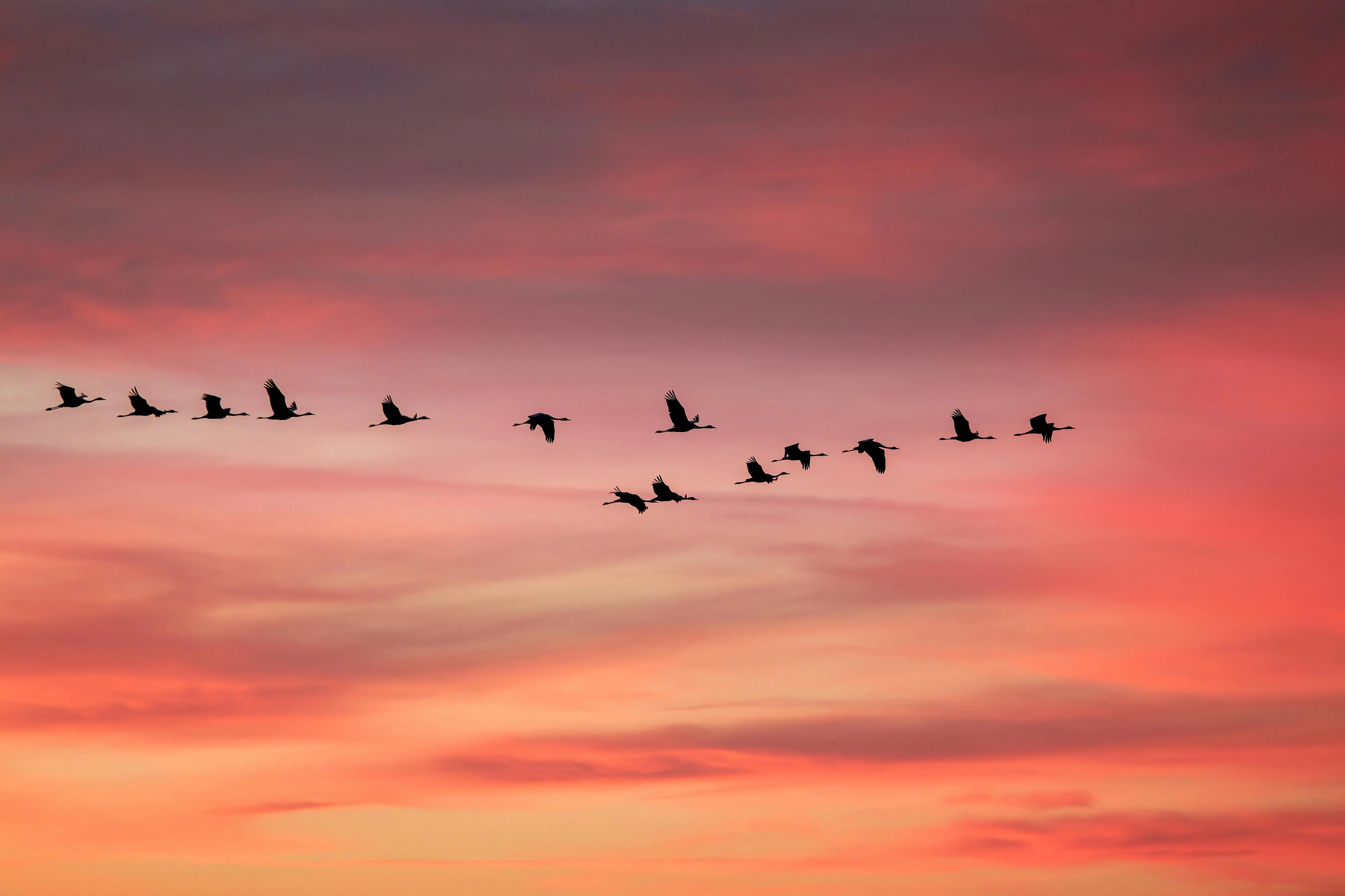 10 Signs People Used to Know Spring Had Arrived