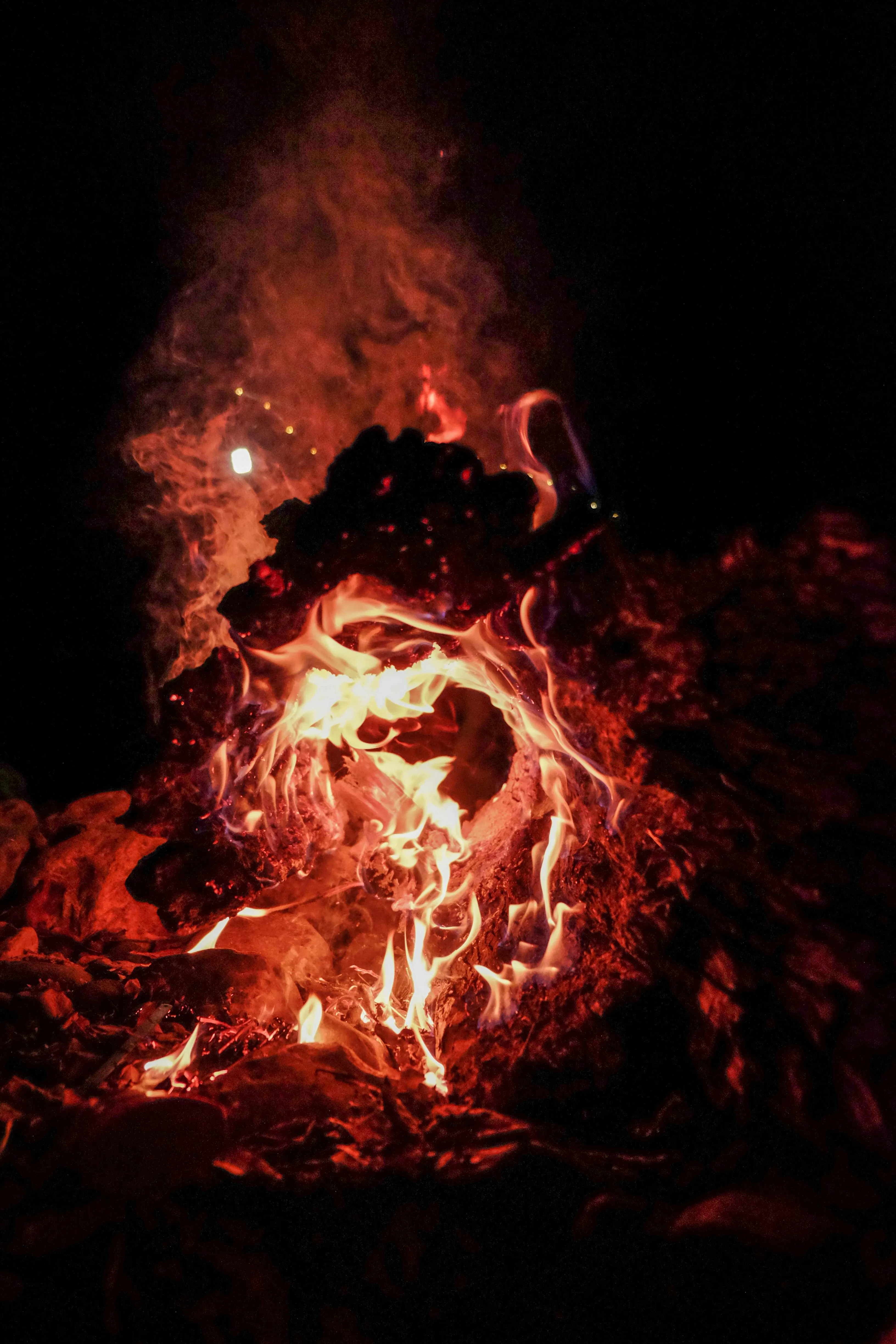 Dương Nhân on Pexels