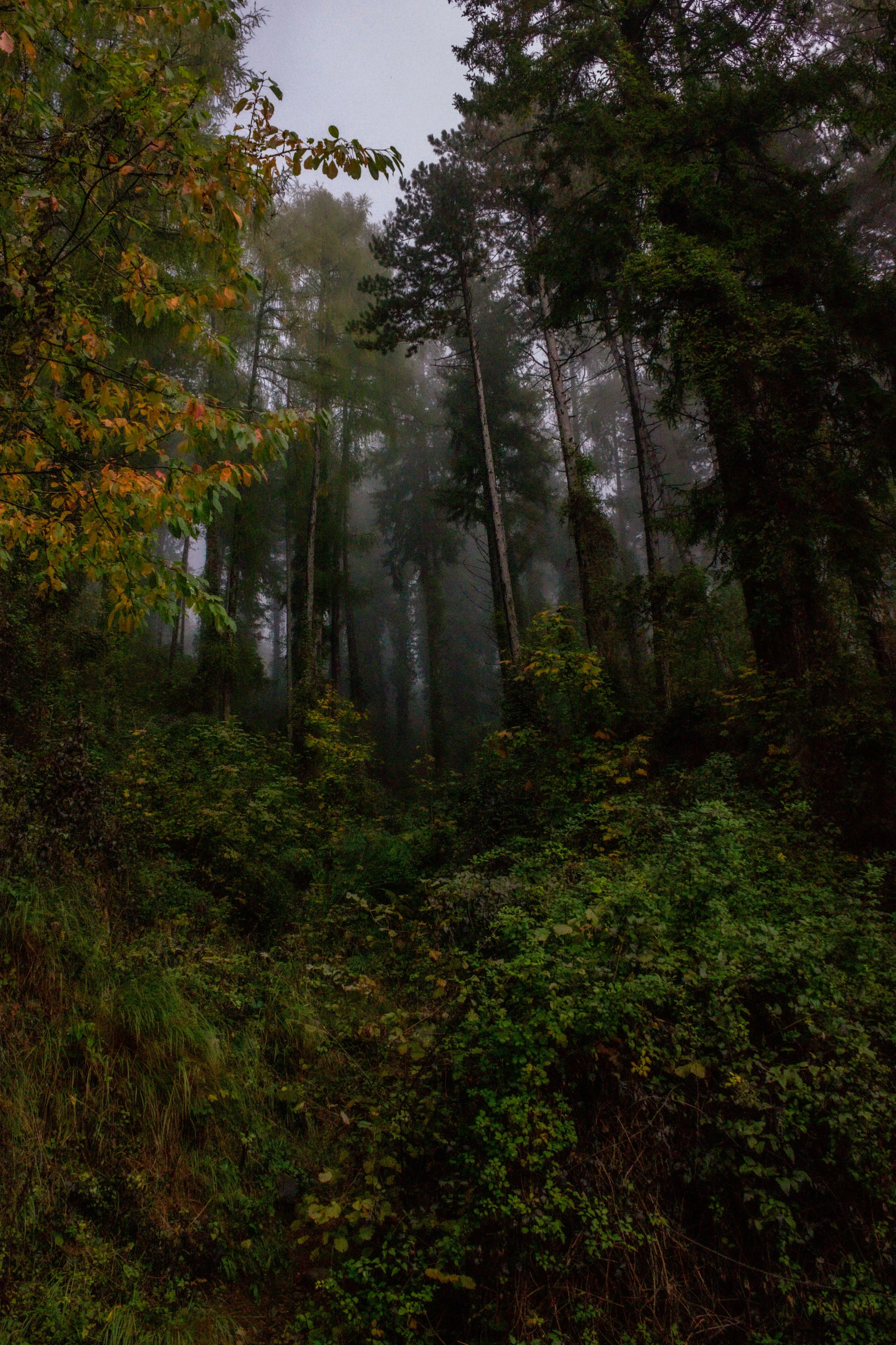 Lorenza Magnaghi on pexels