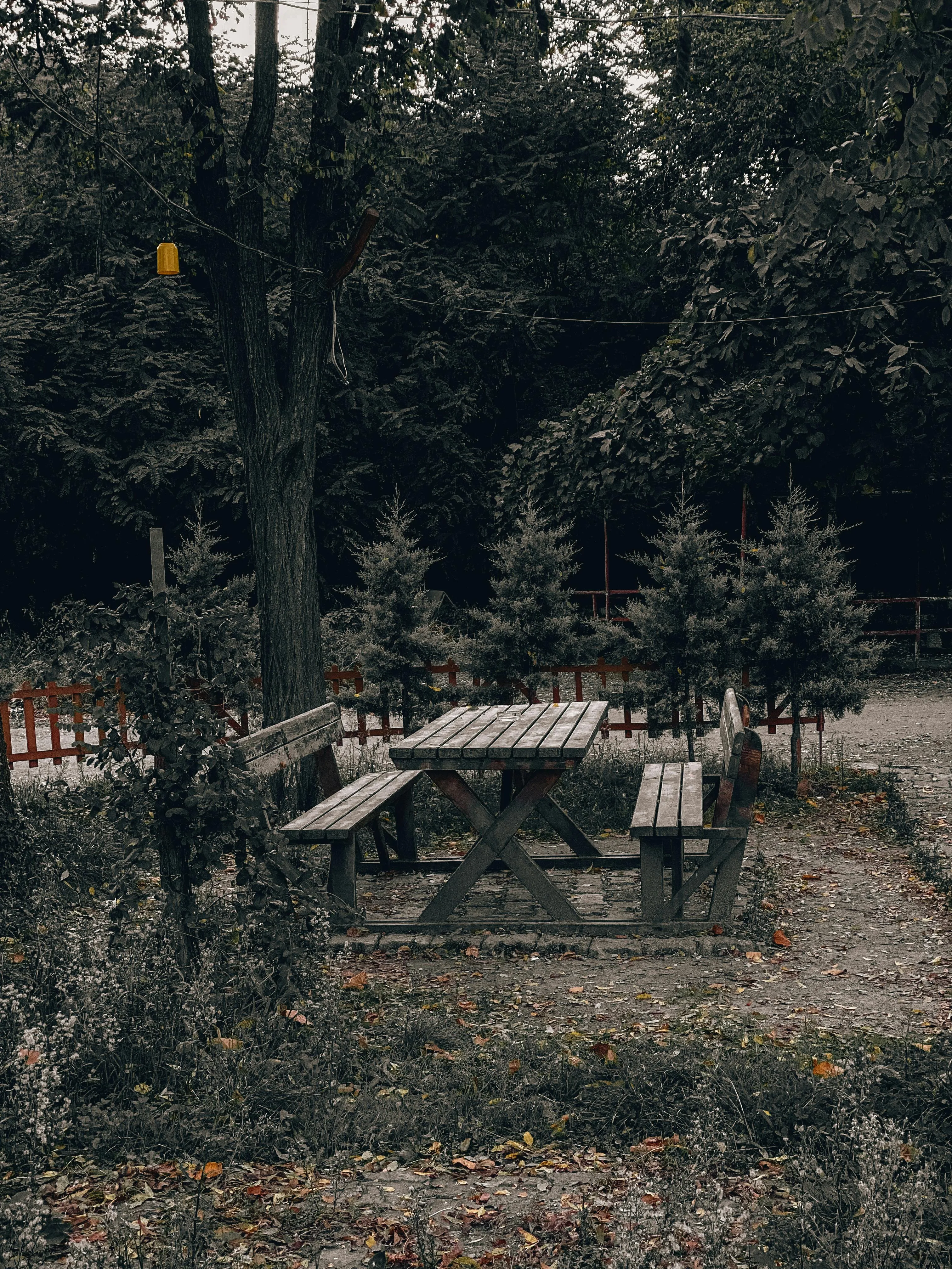 Hilal Serin on Pexels
