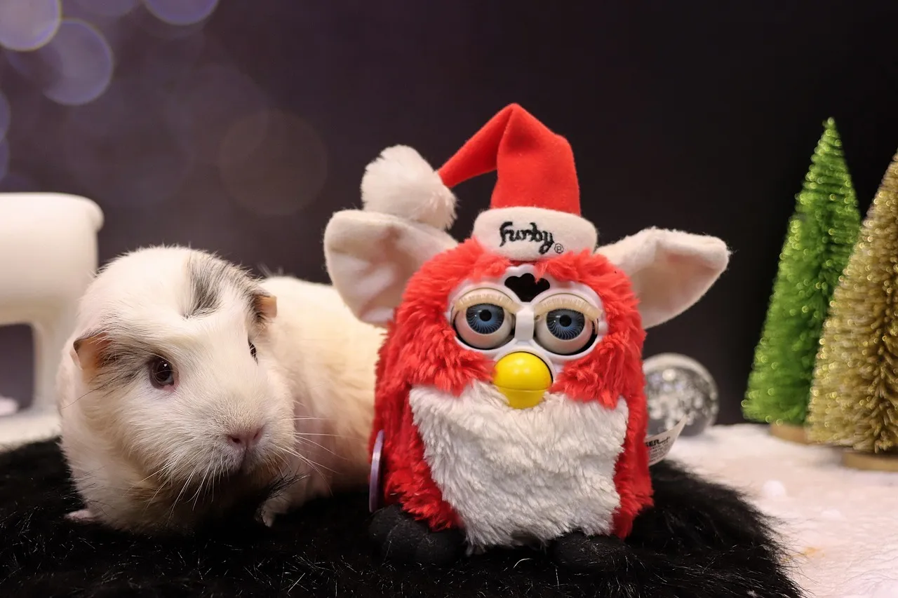 furbymama on Pixabay