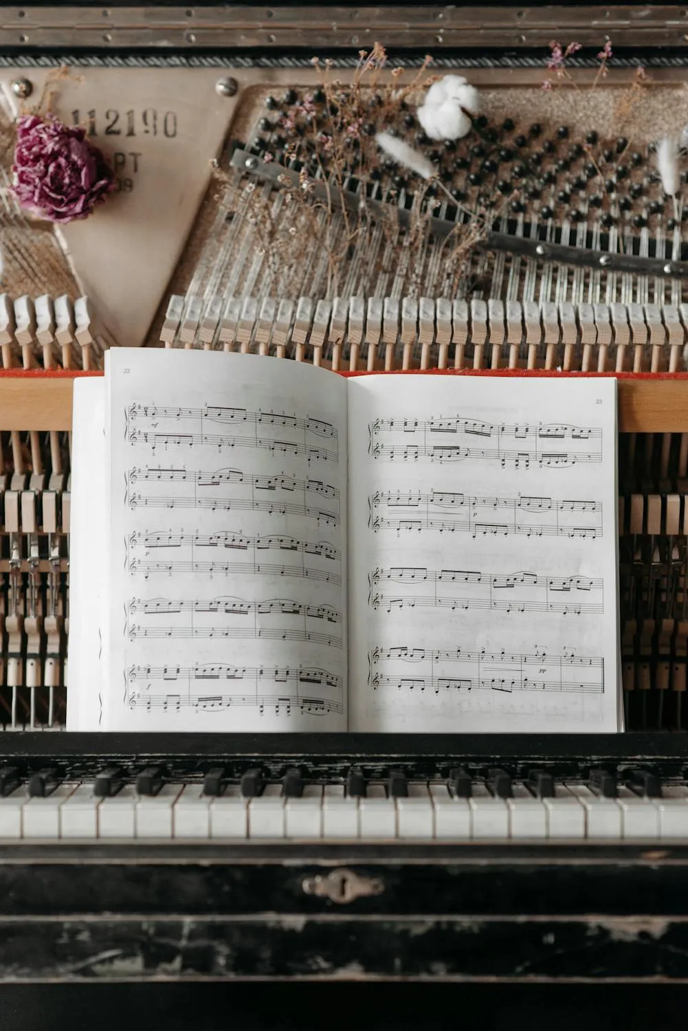 Pavel Danilyuk on pexels.