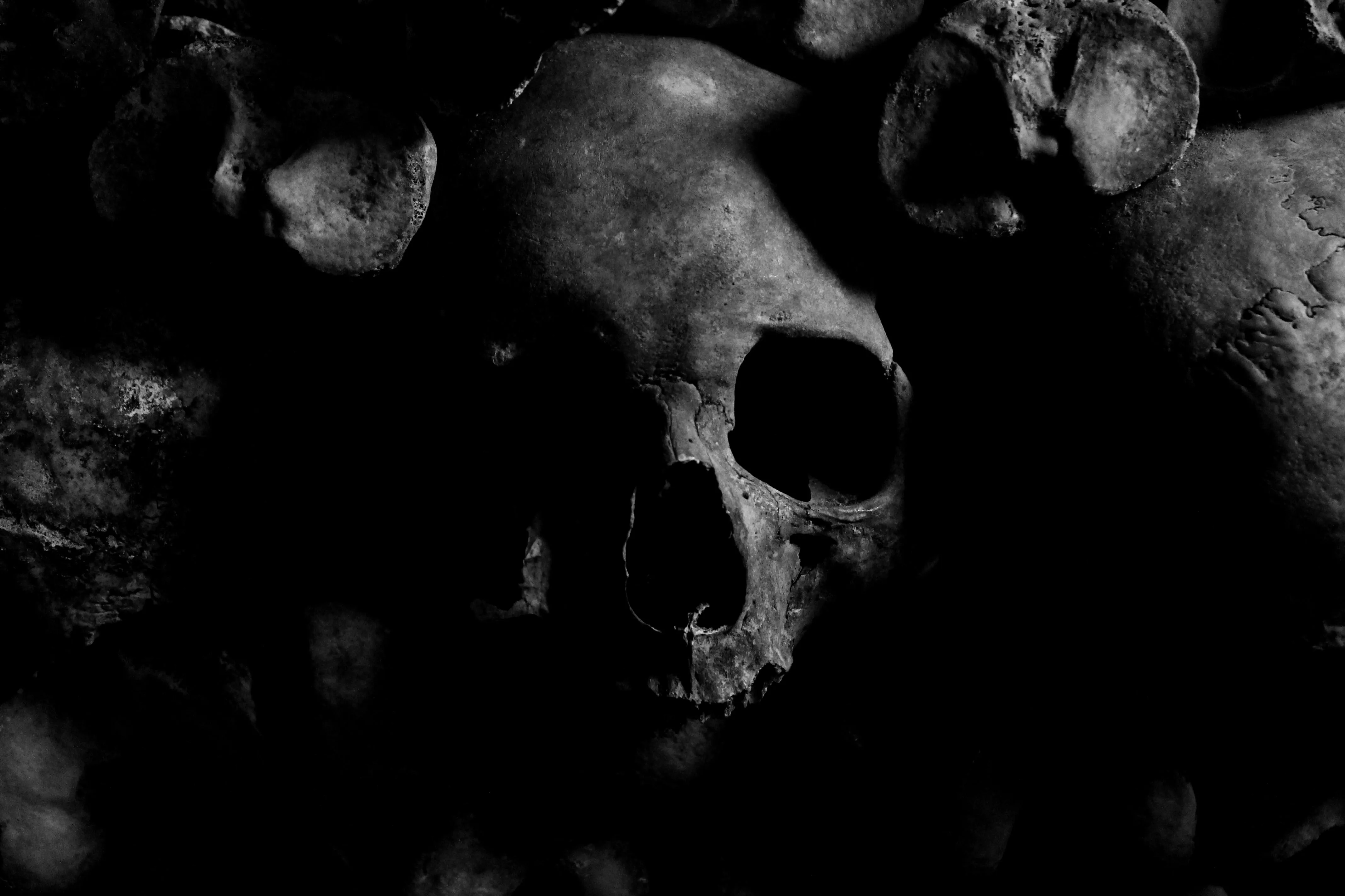 20 Strange Skulls Unearthed Around the World