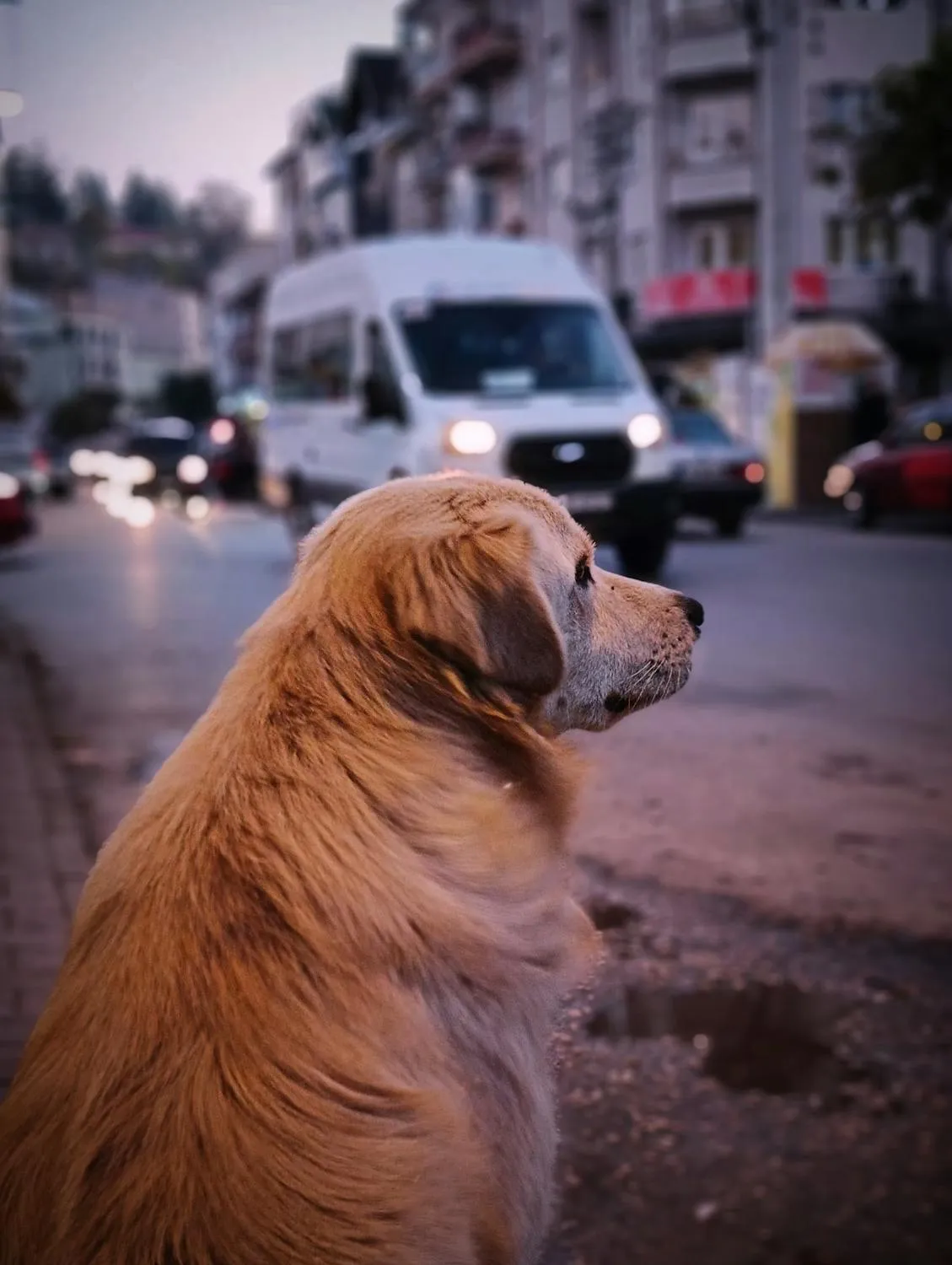mehmet teke on Pexels 