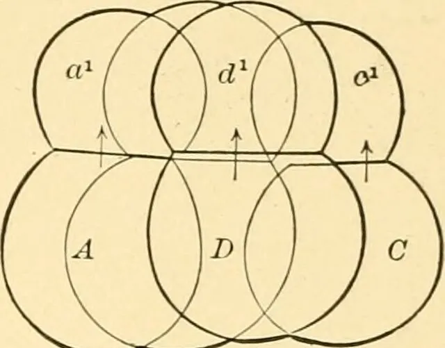 Internet Archive Book Images on Wikimedia Commons