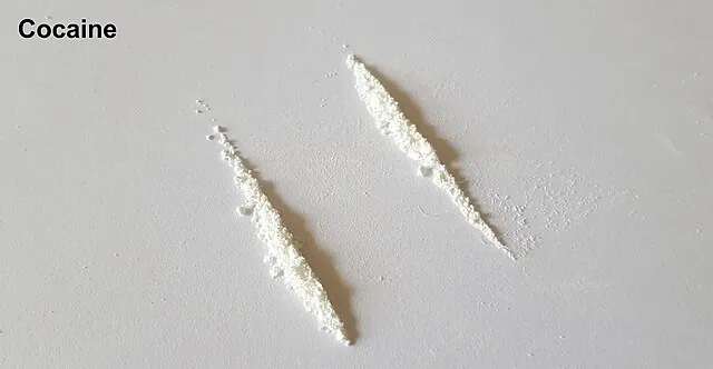 The Drug Users Bible on Wikimedia Commons