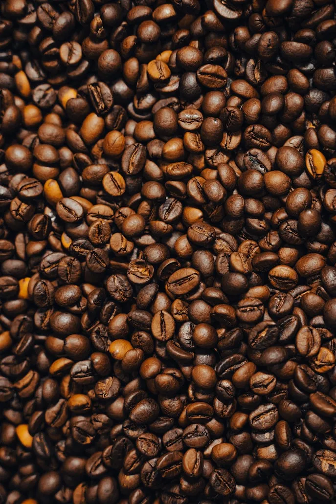 Fatih Mehmet YILDIZ from Unsplash