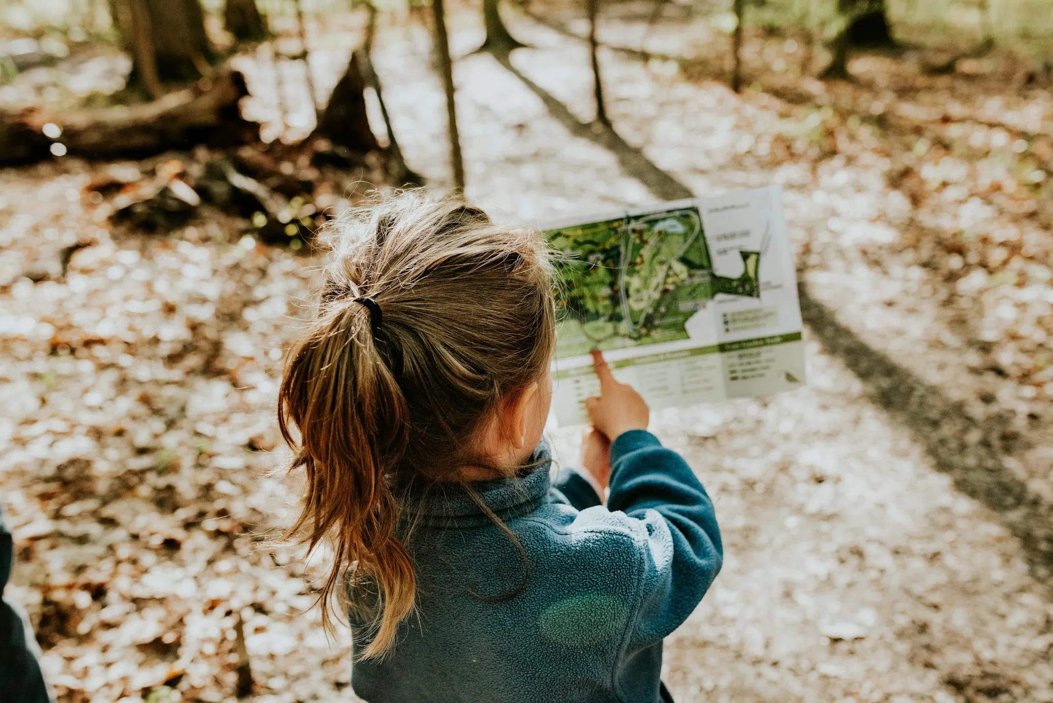 Sandra Seitama on Unsplash