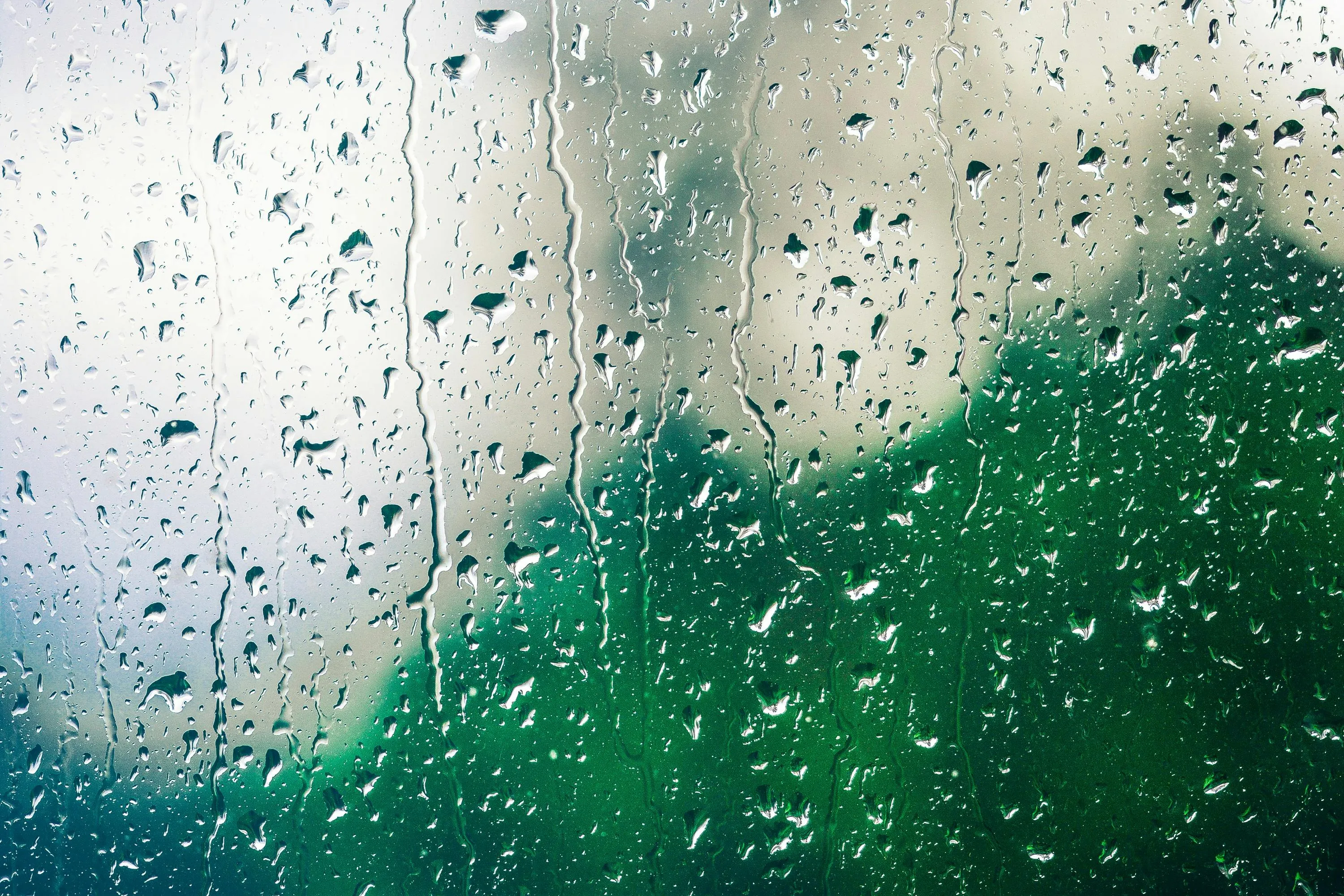 Pixabay on Pexels