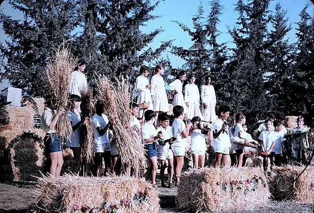 אוטו גיל on Wikimedia Commons