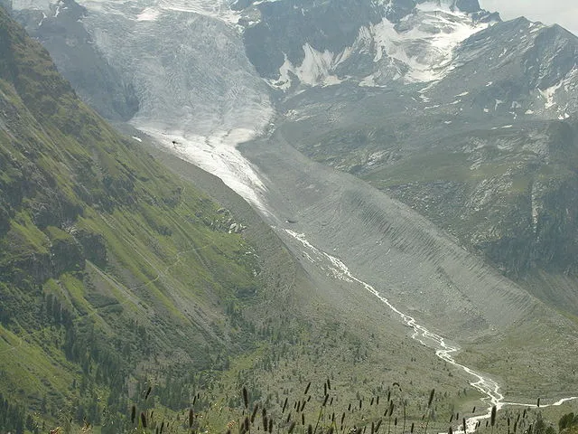Audriusa on wikimedia