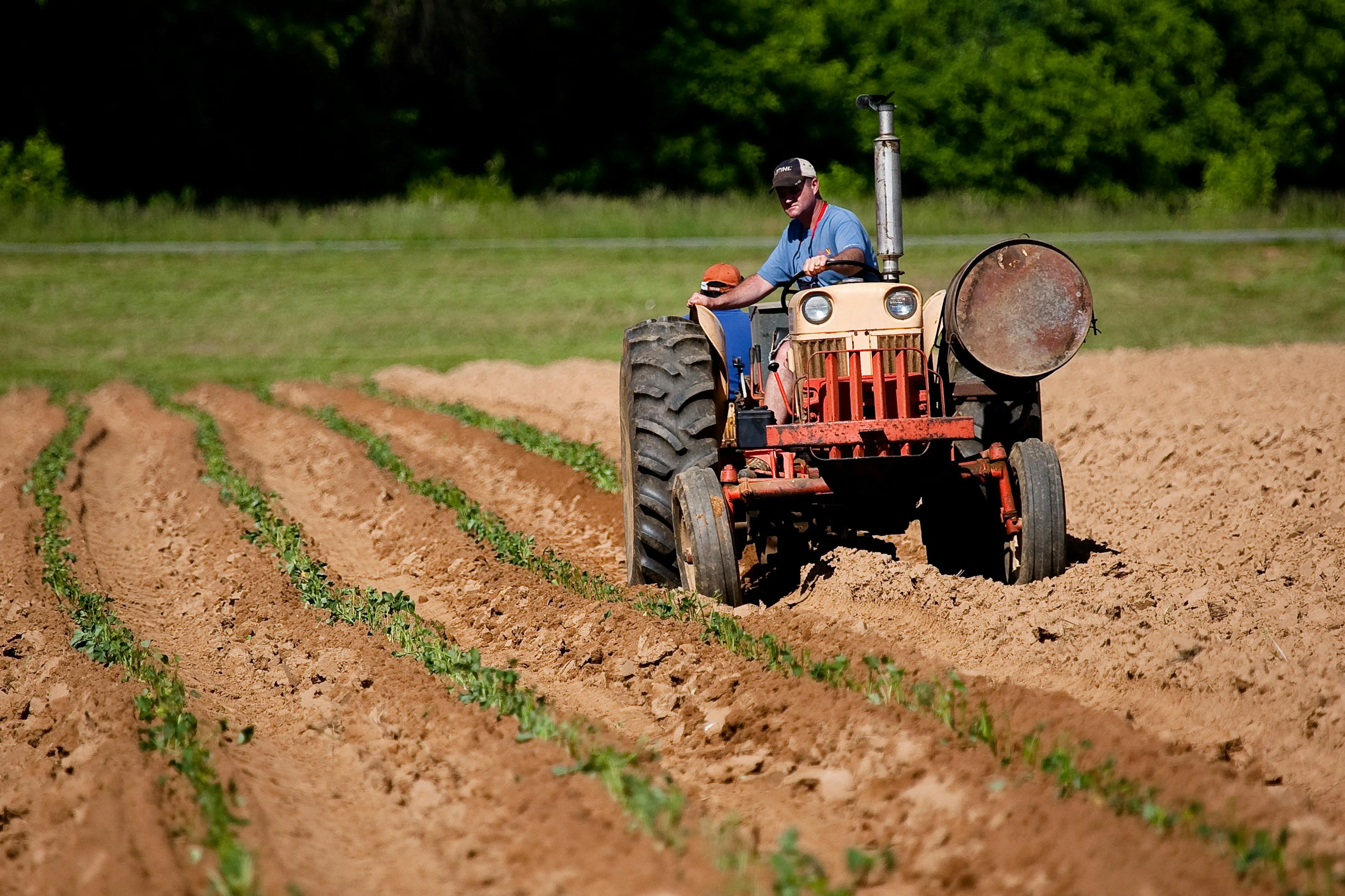 20 Agricultural Practices Used Before Modern Equipment
