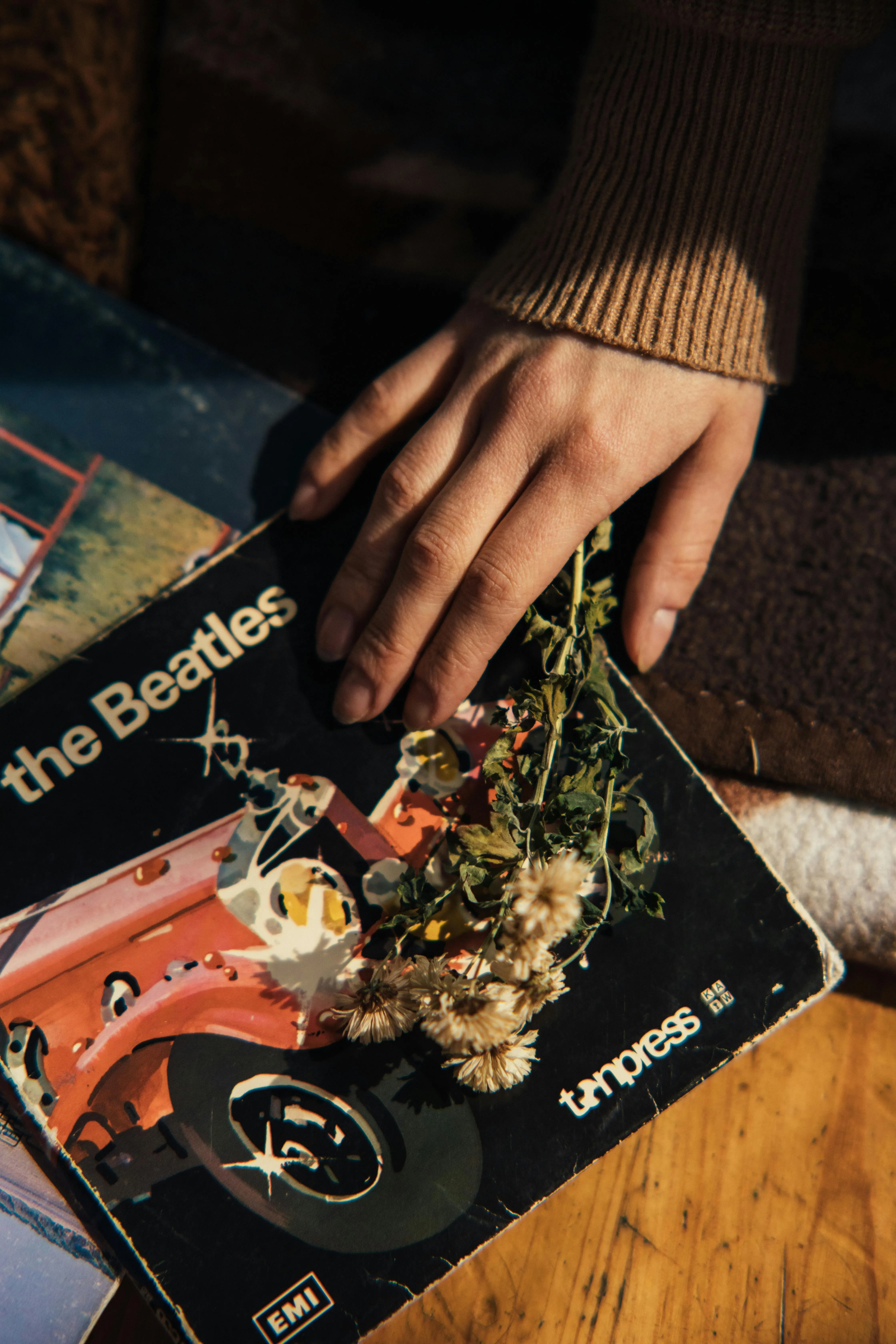  KoolShooters on Pexels