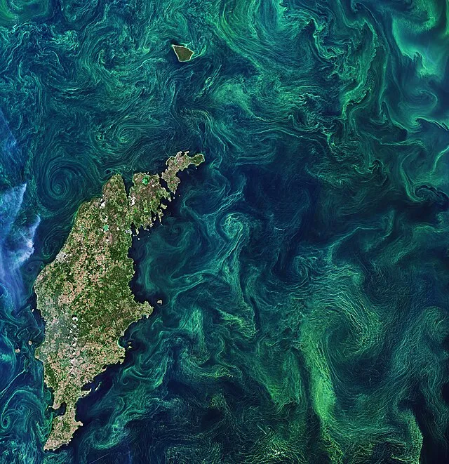 European Space Agency on Wikimedia Commons