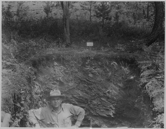 Unknown author or not provided on wikimedia