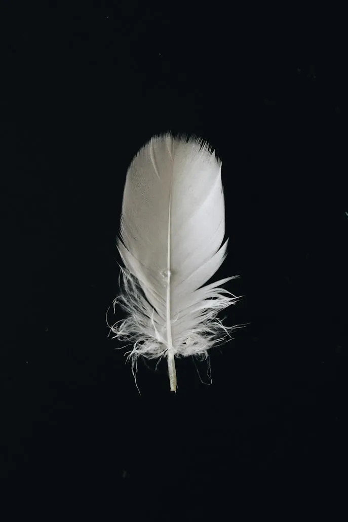  Evie S. from Unsplash