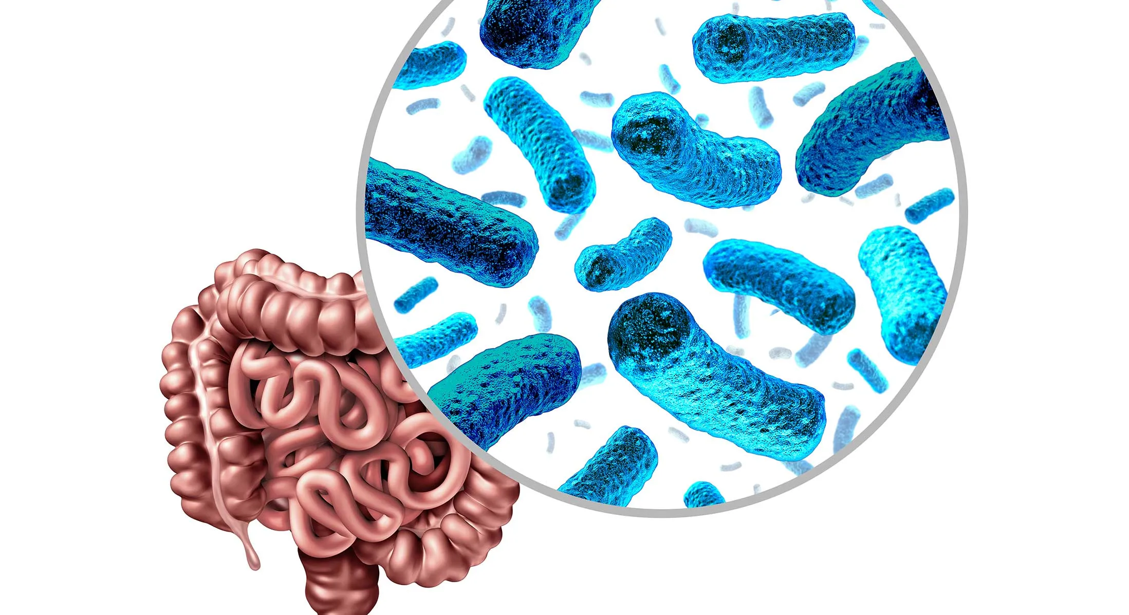 Image from Gut Microbiota for Health