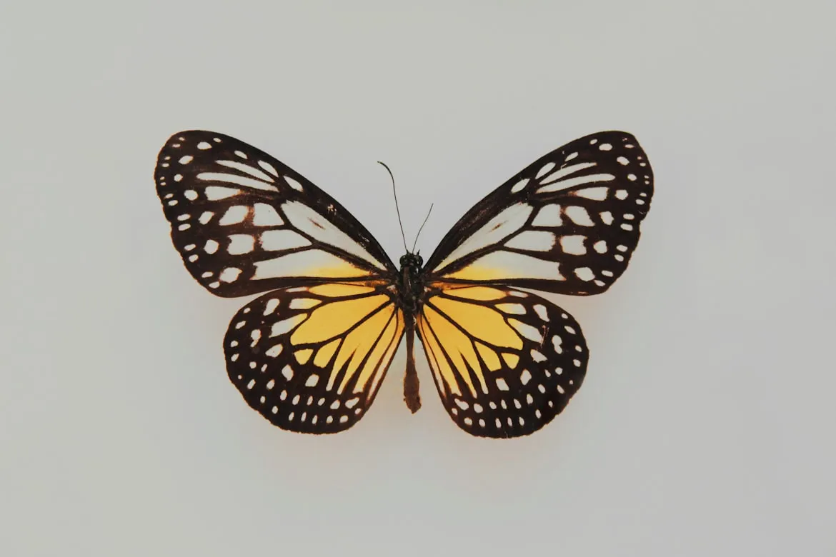Fleur from Unsplash