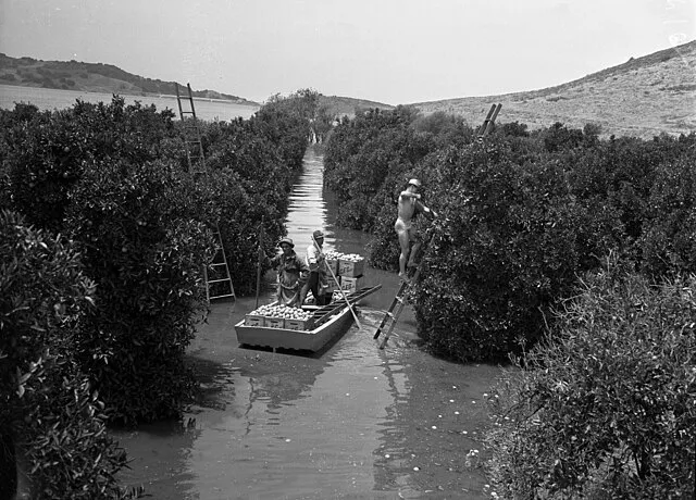 Los Angeles Times on Wikimedia Commons