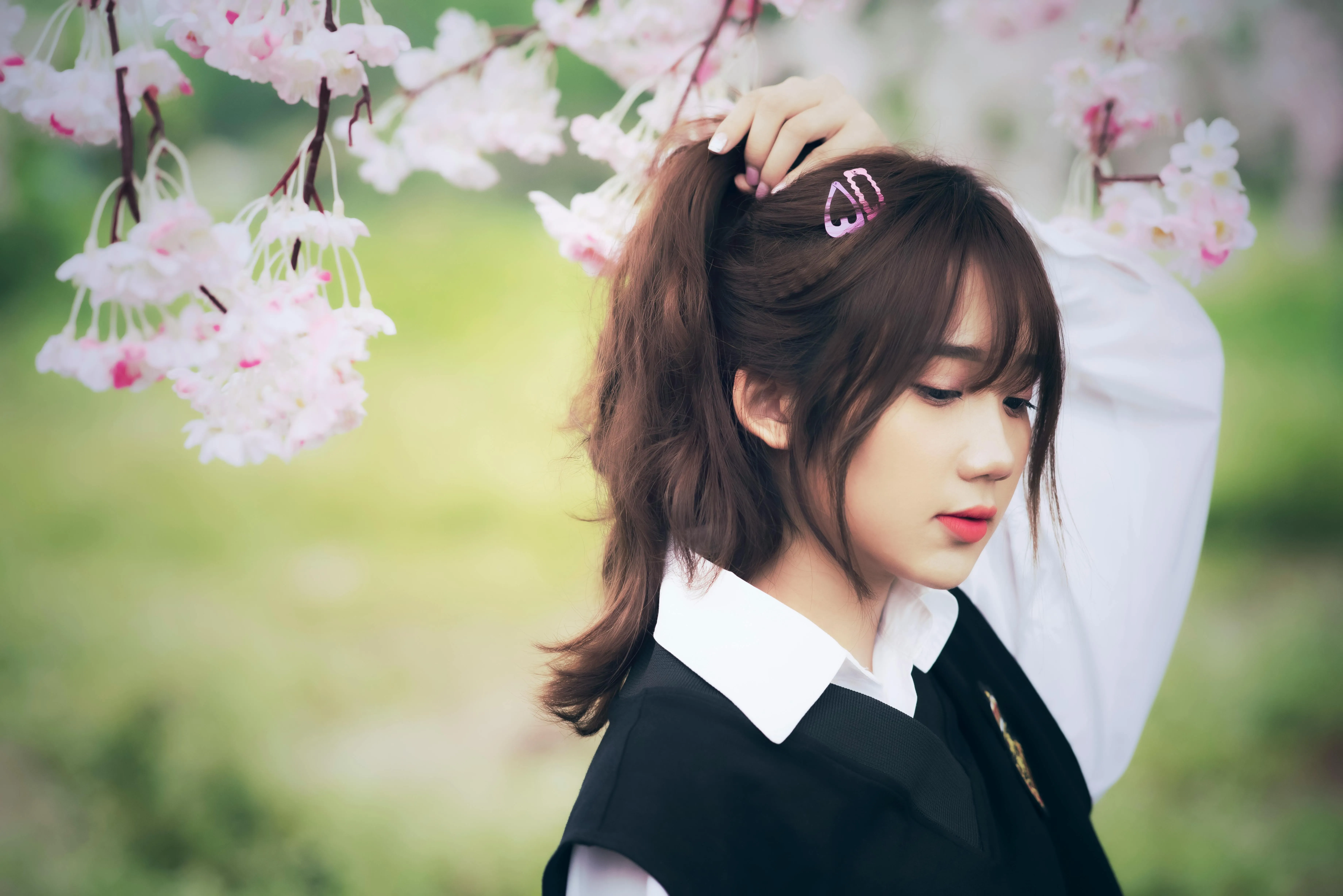 nguyễn hoàng việt on Pexels