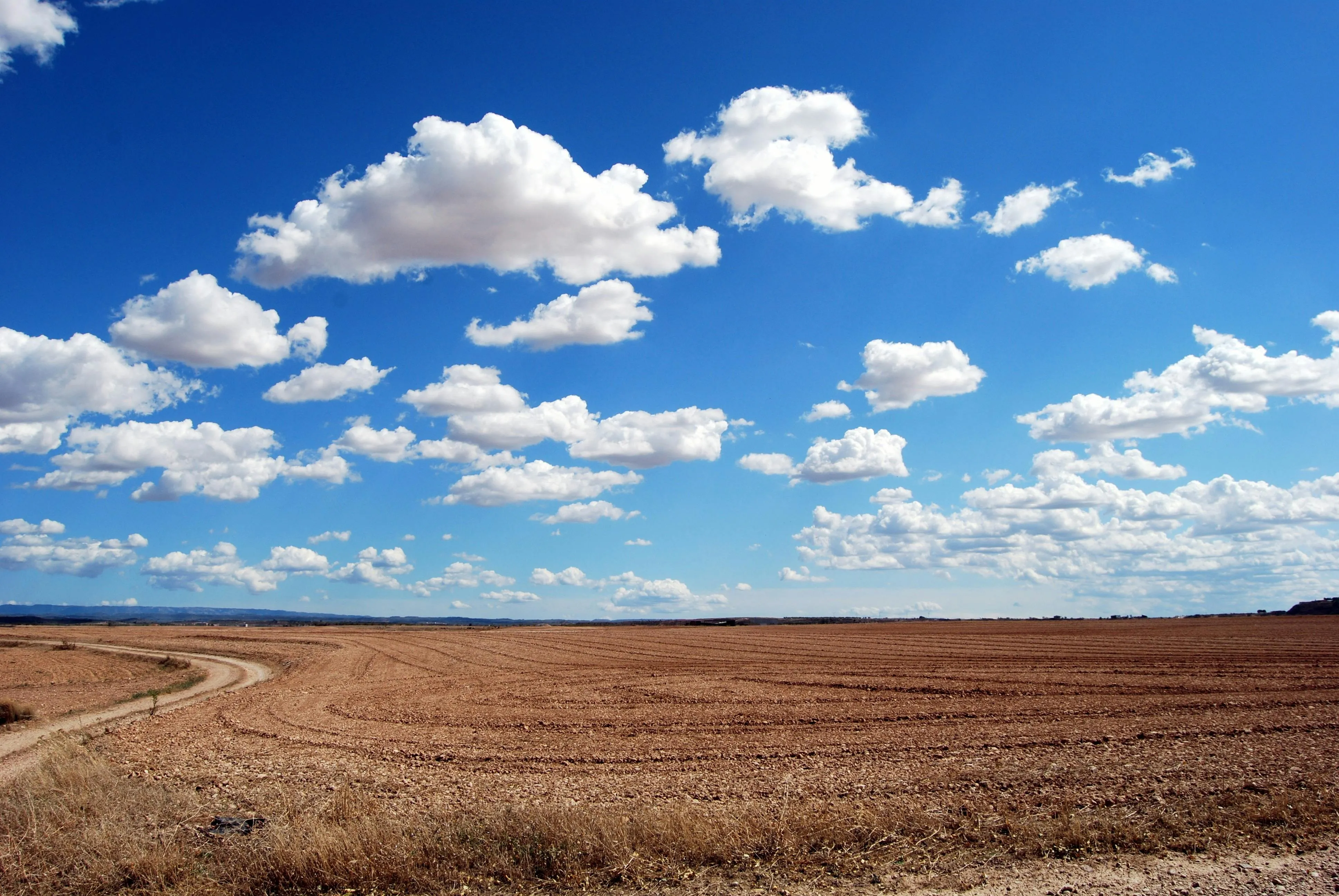 12 Natural Cycles That Influence Seasons